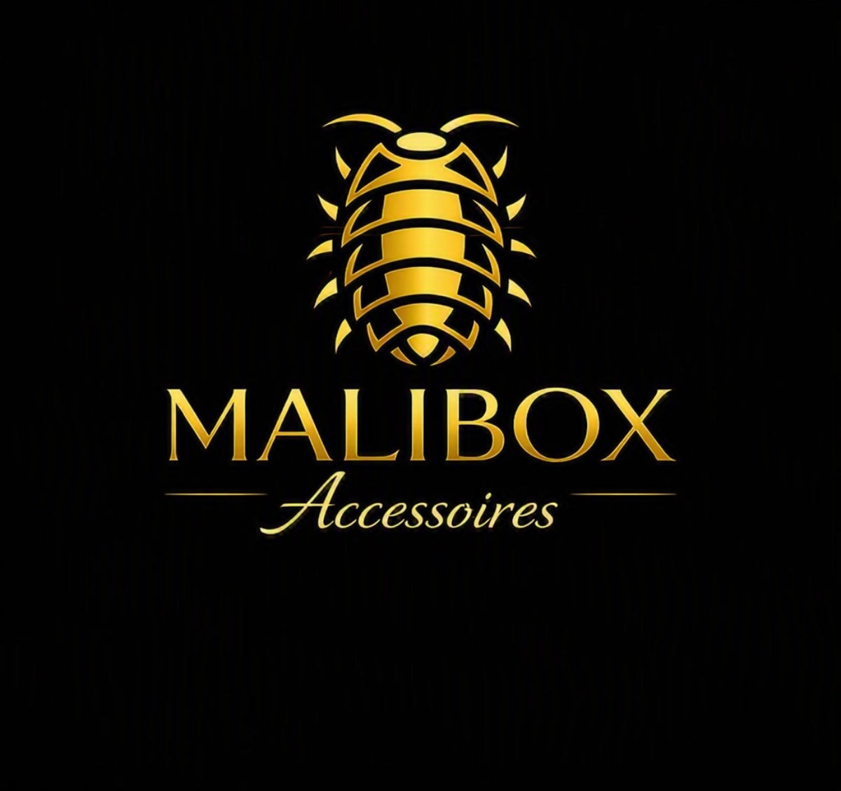 Accessoires et substrat pour phidippus.