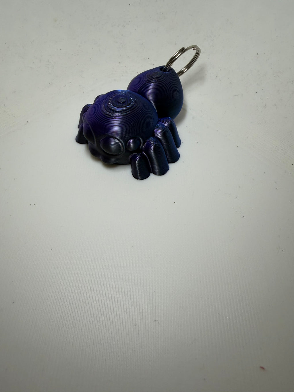 Porte clef Phidippus