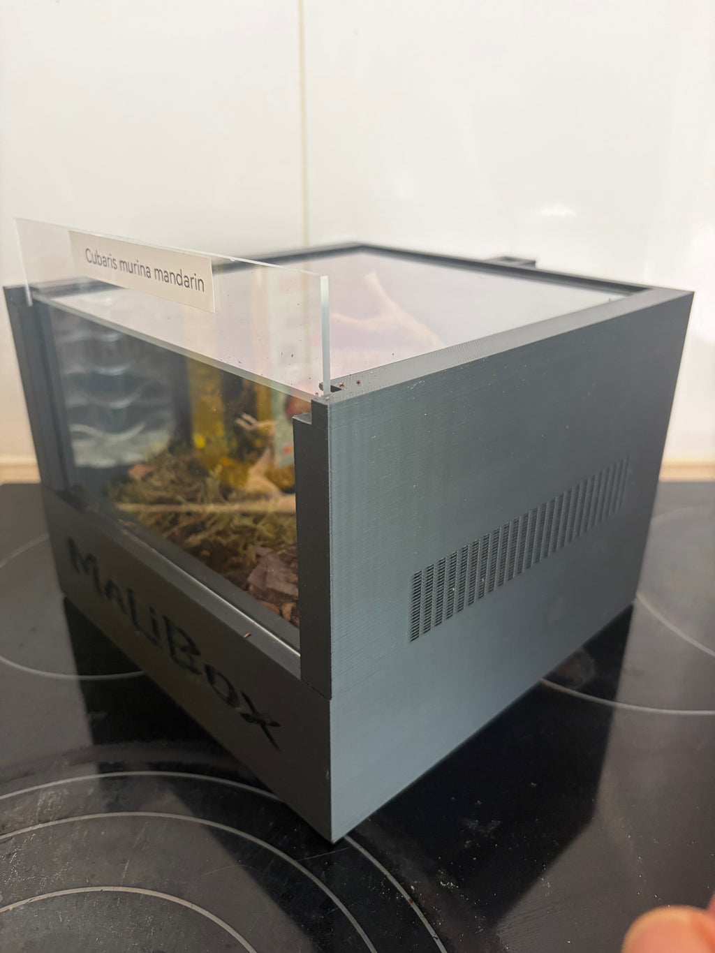 Malibox terra +