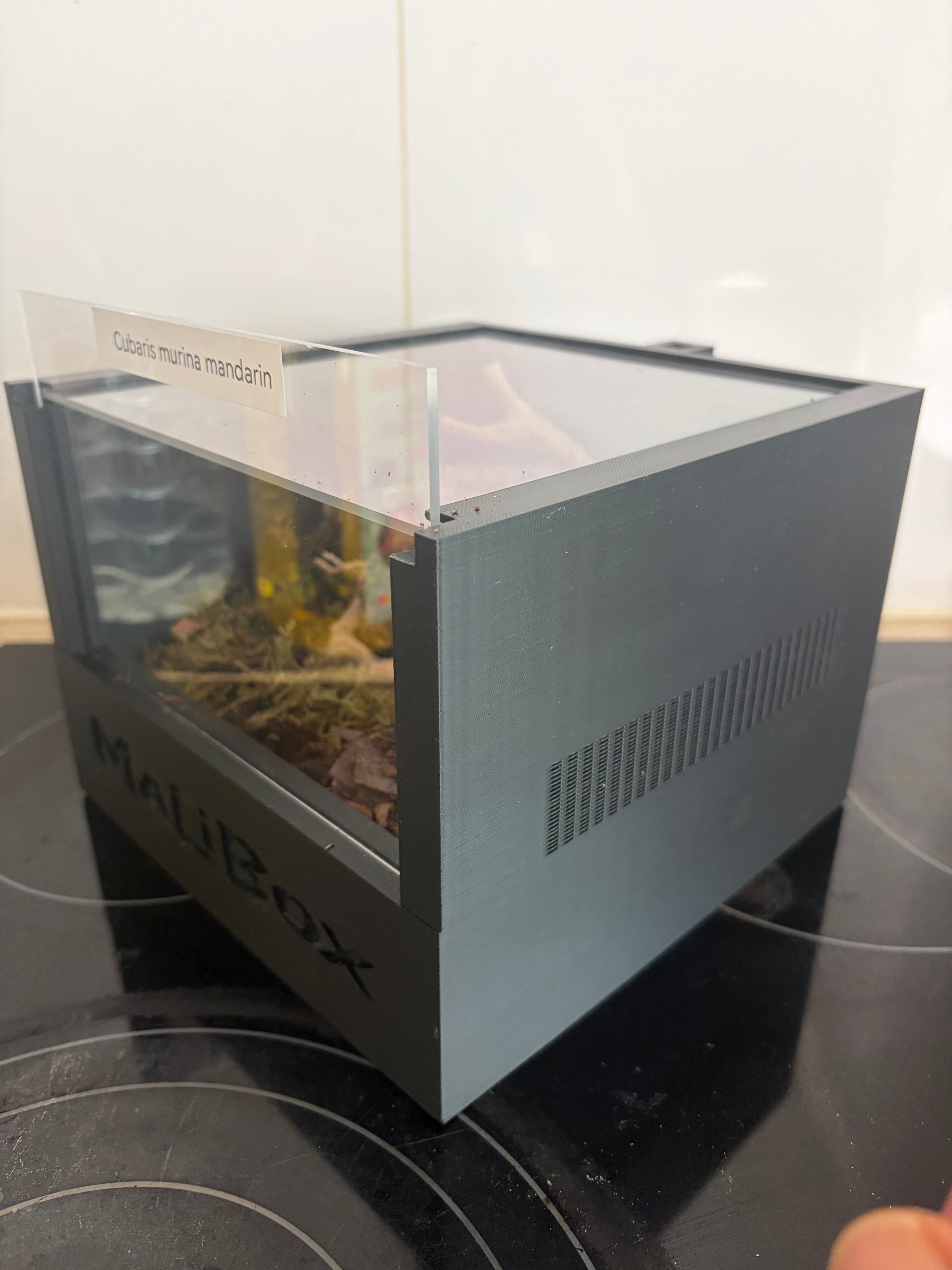 Malibox terra +