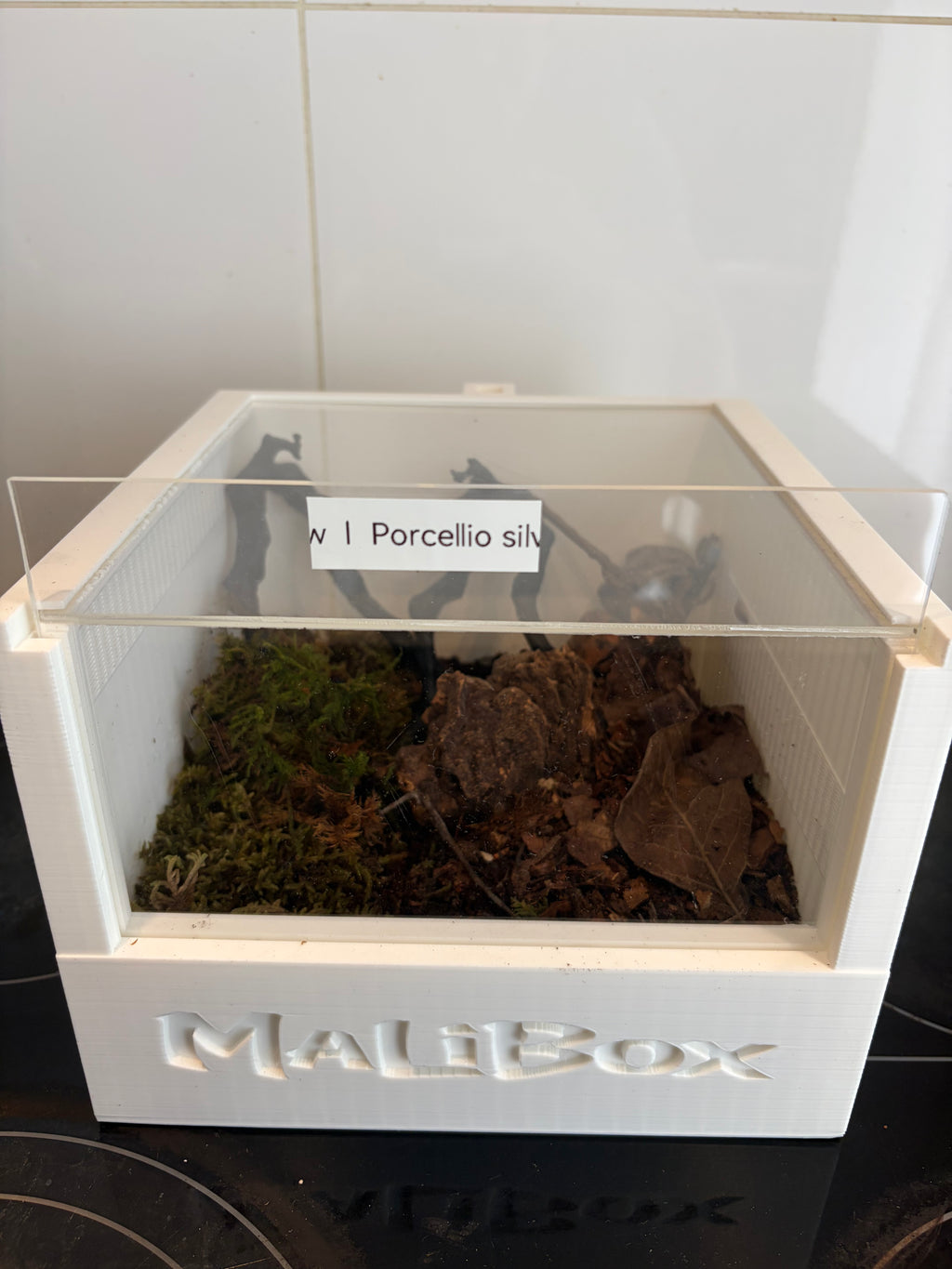 Malibox terra +