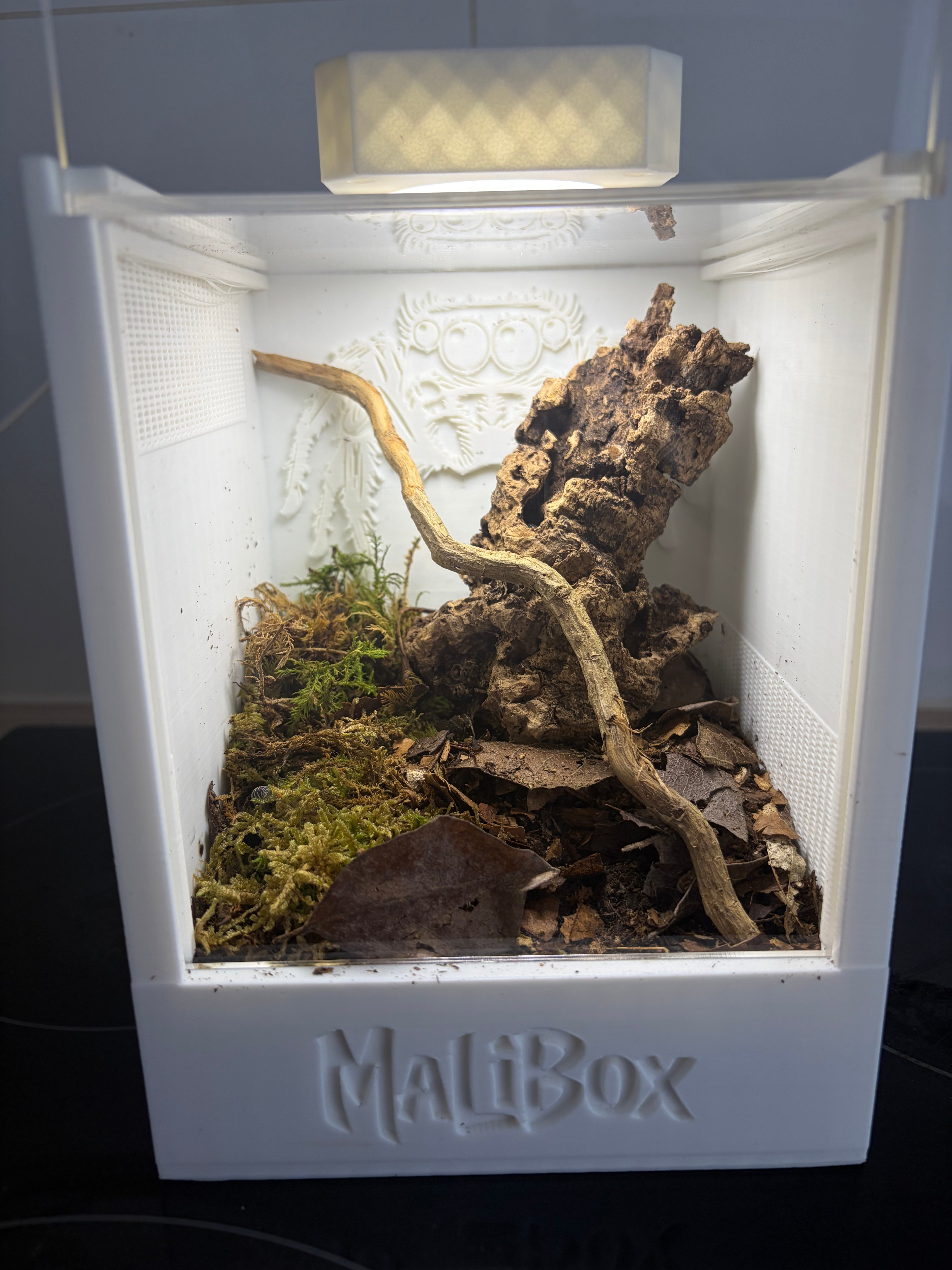 Lampe Malibox