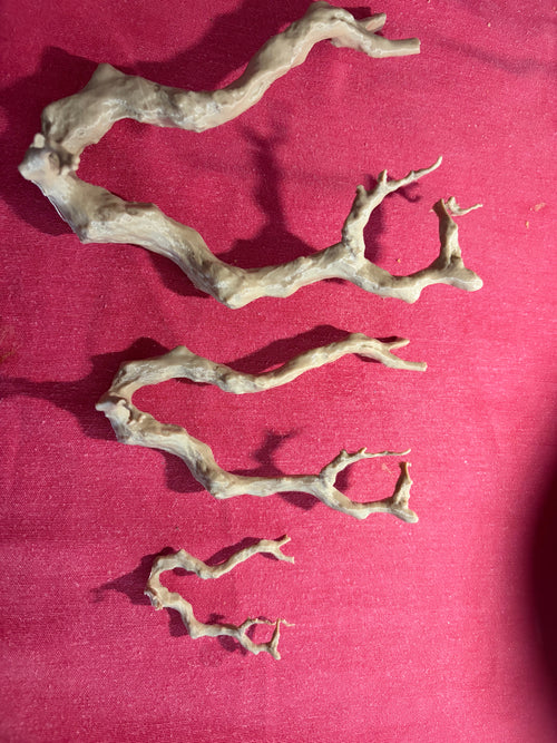 Branche 3D pour Arboria