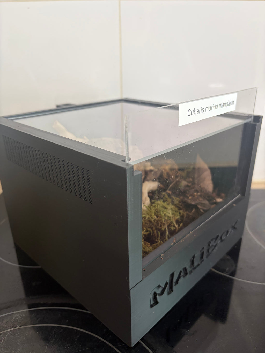 Malibox terra +