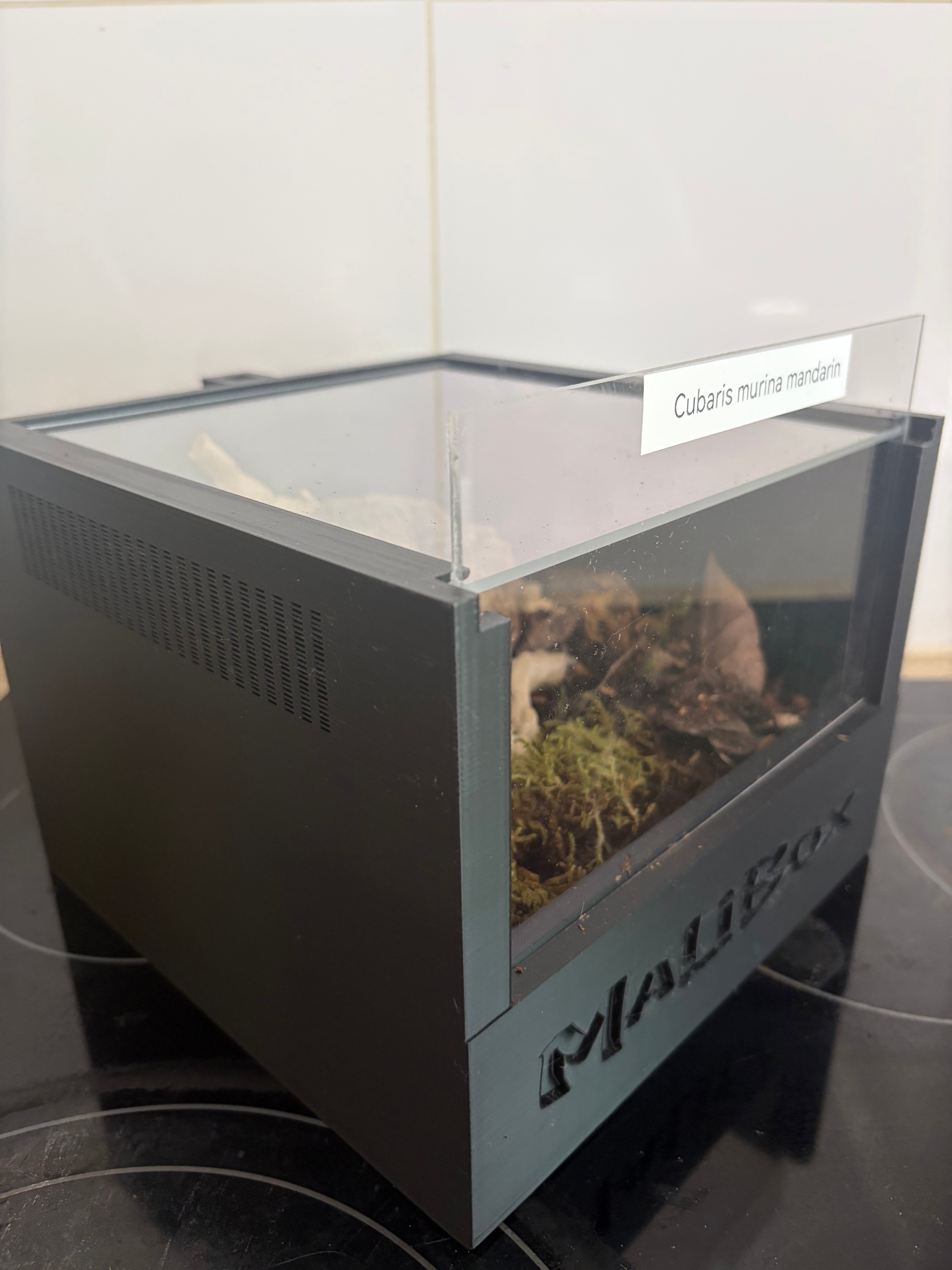 Malibox terra +
