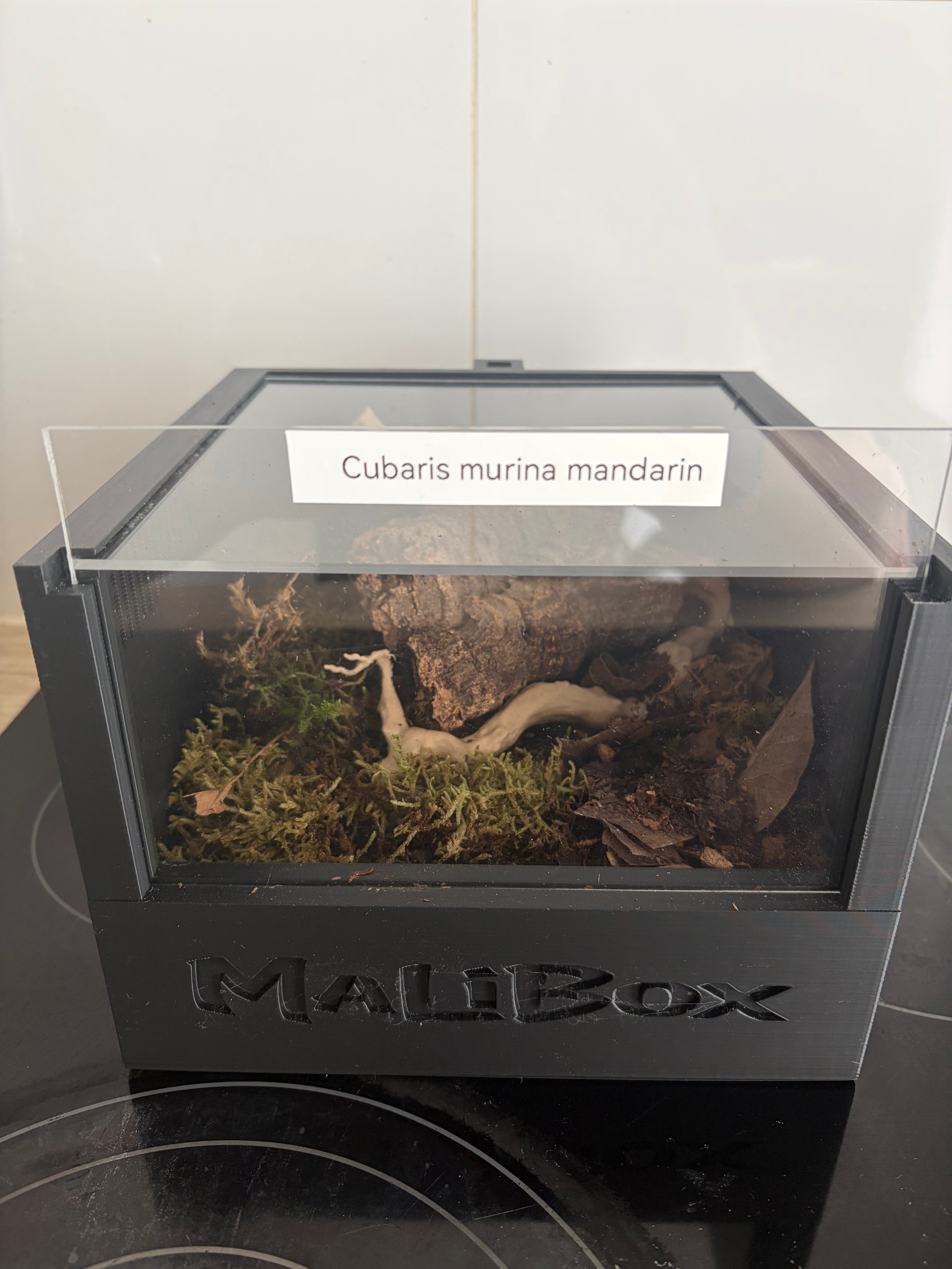 Malibox terra +