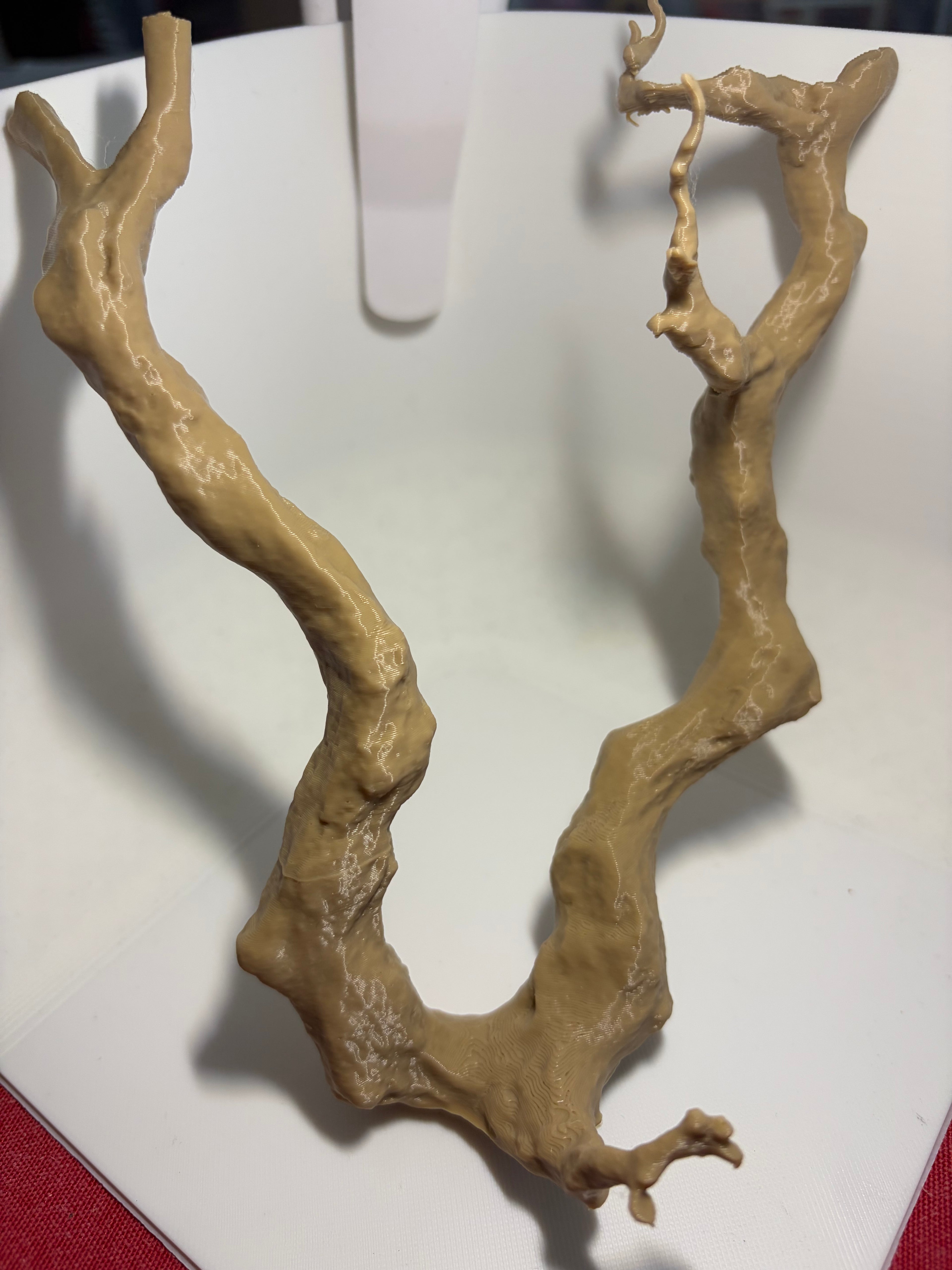 Branche 3D pour Arboria