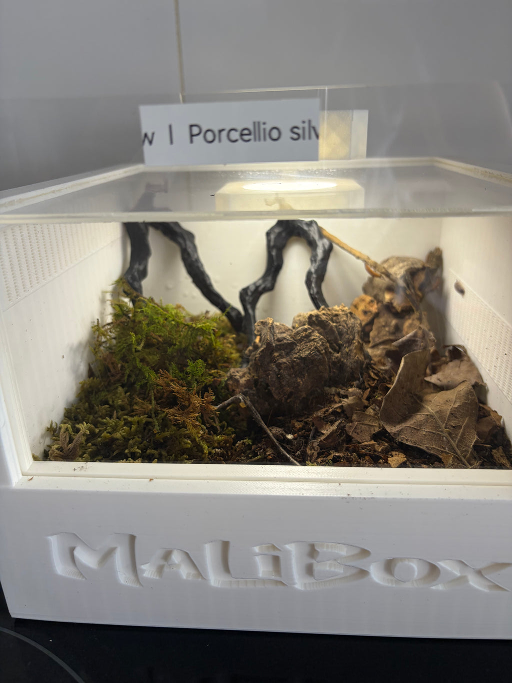 Malibox terra +