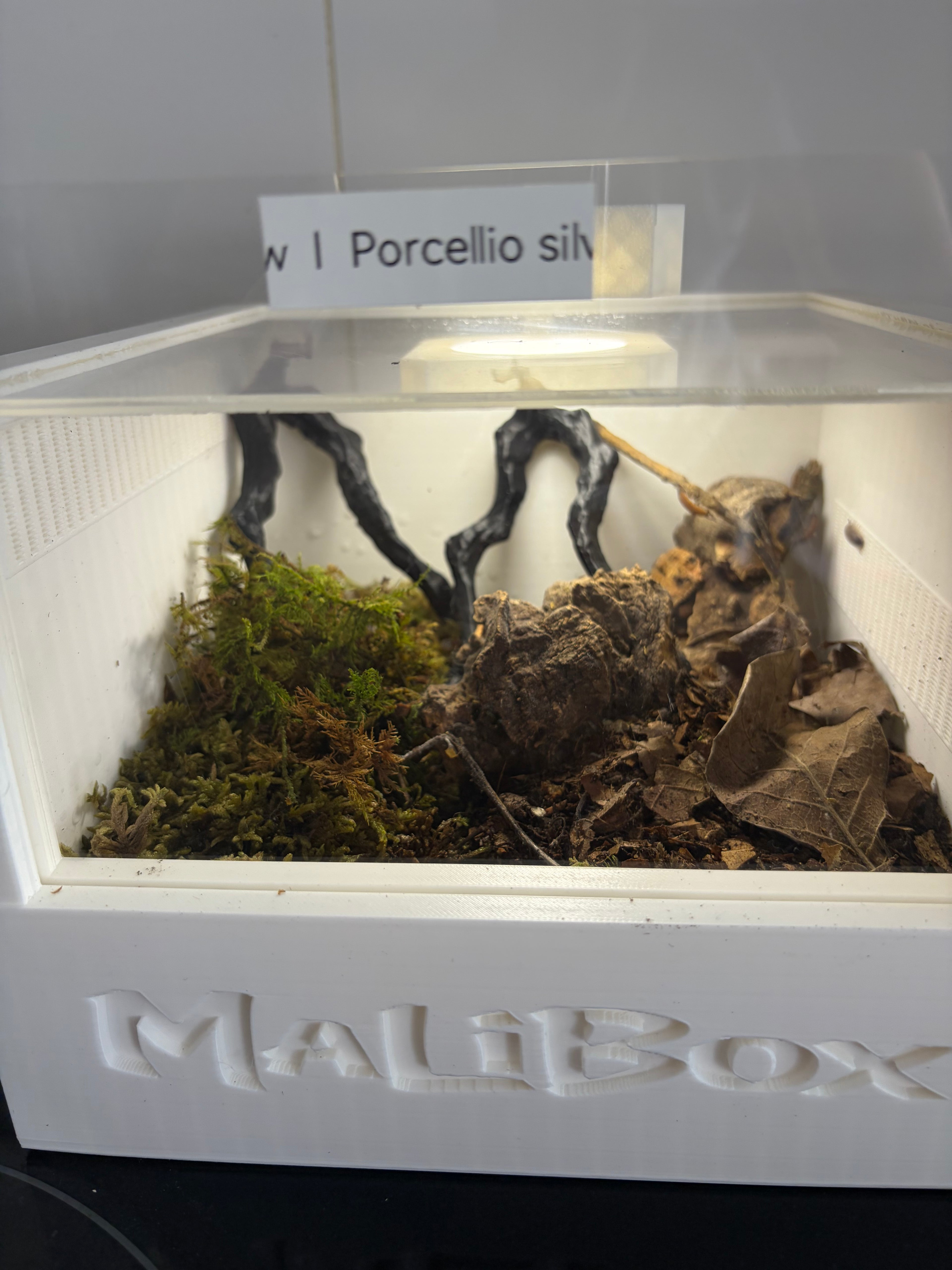 Malibox terra +