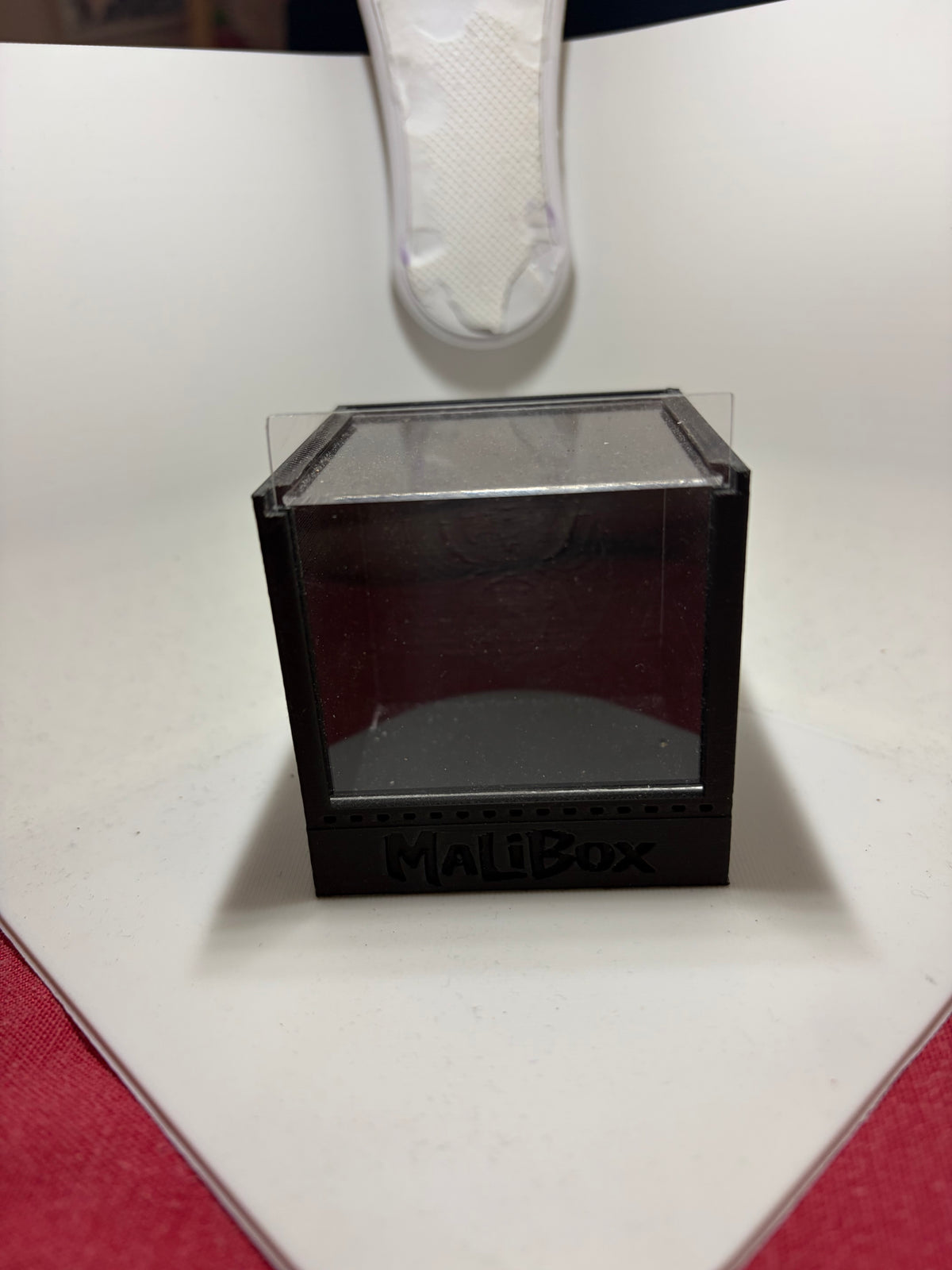 Terrarium Alpha