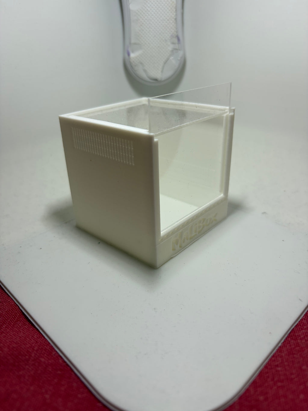 Terrarium Alpha