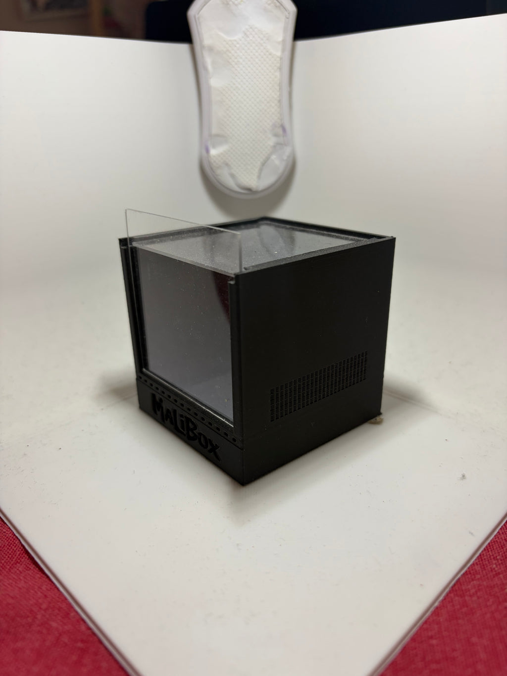 Terrarium Alpha