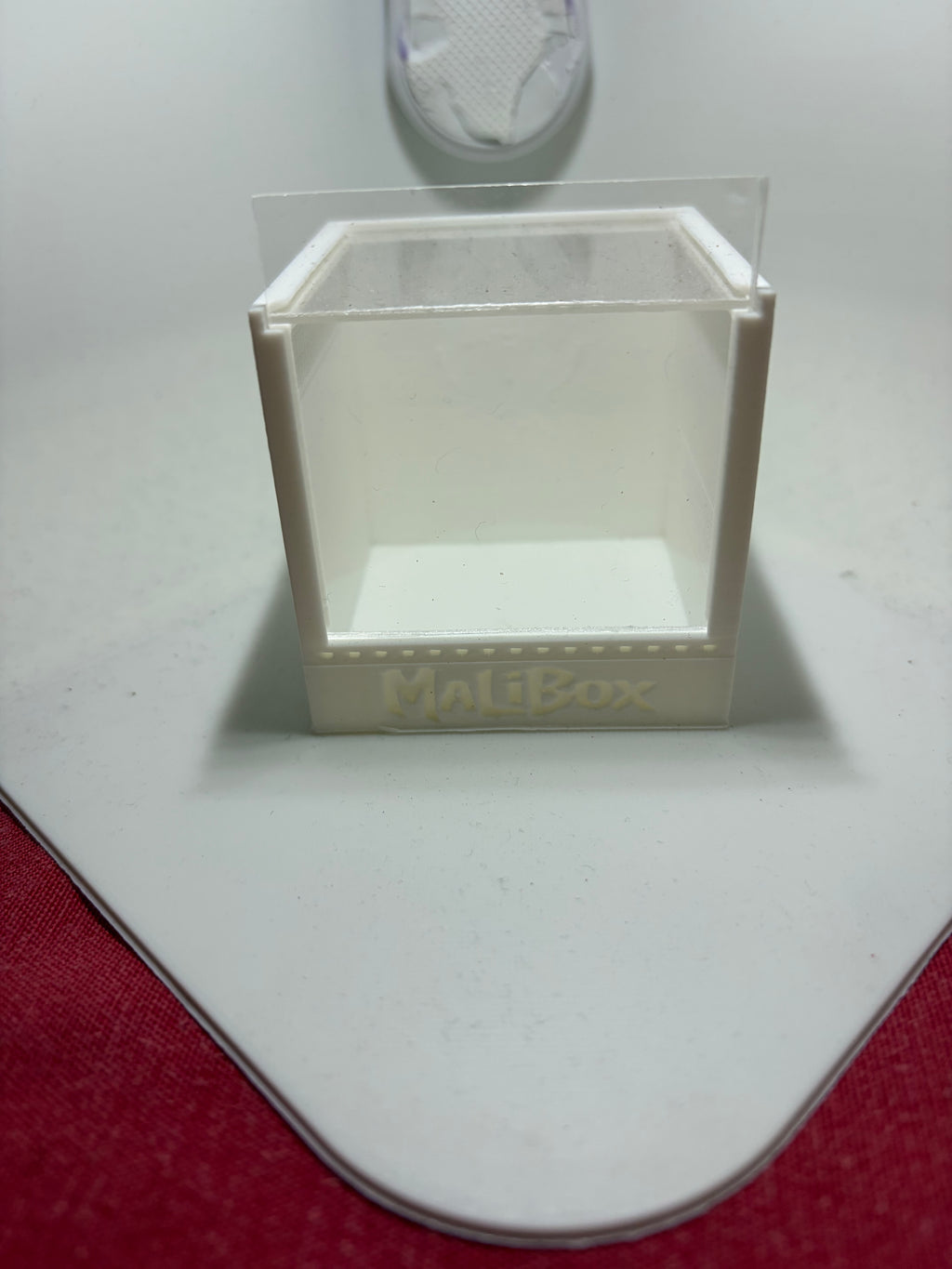 Terrarium Alpha