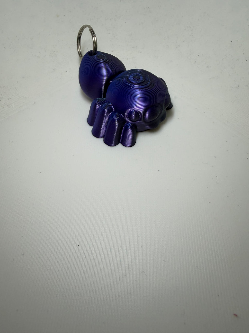 Porte clef Phidippus