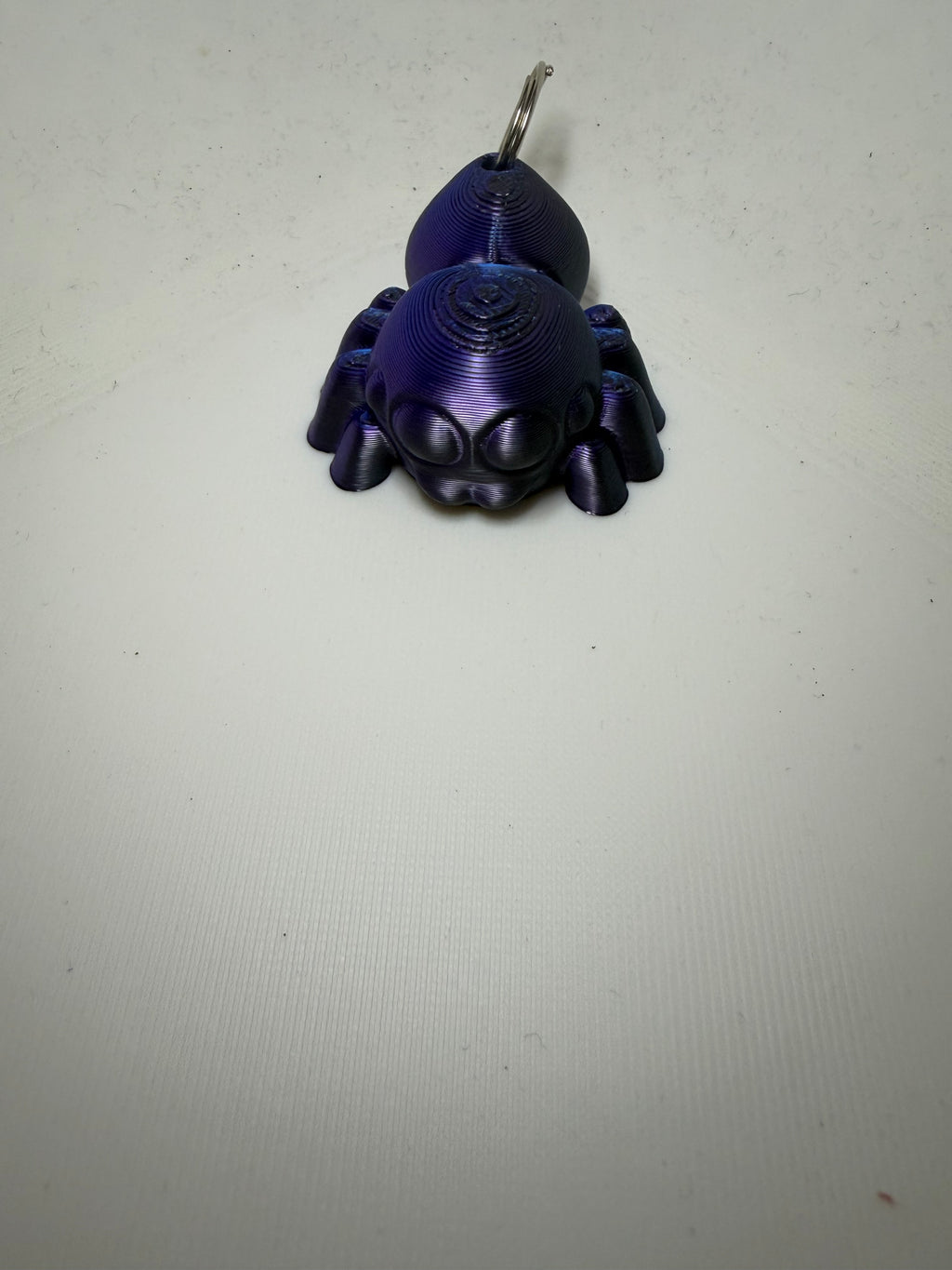 Porte clef Phidippus