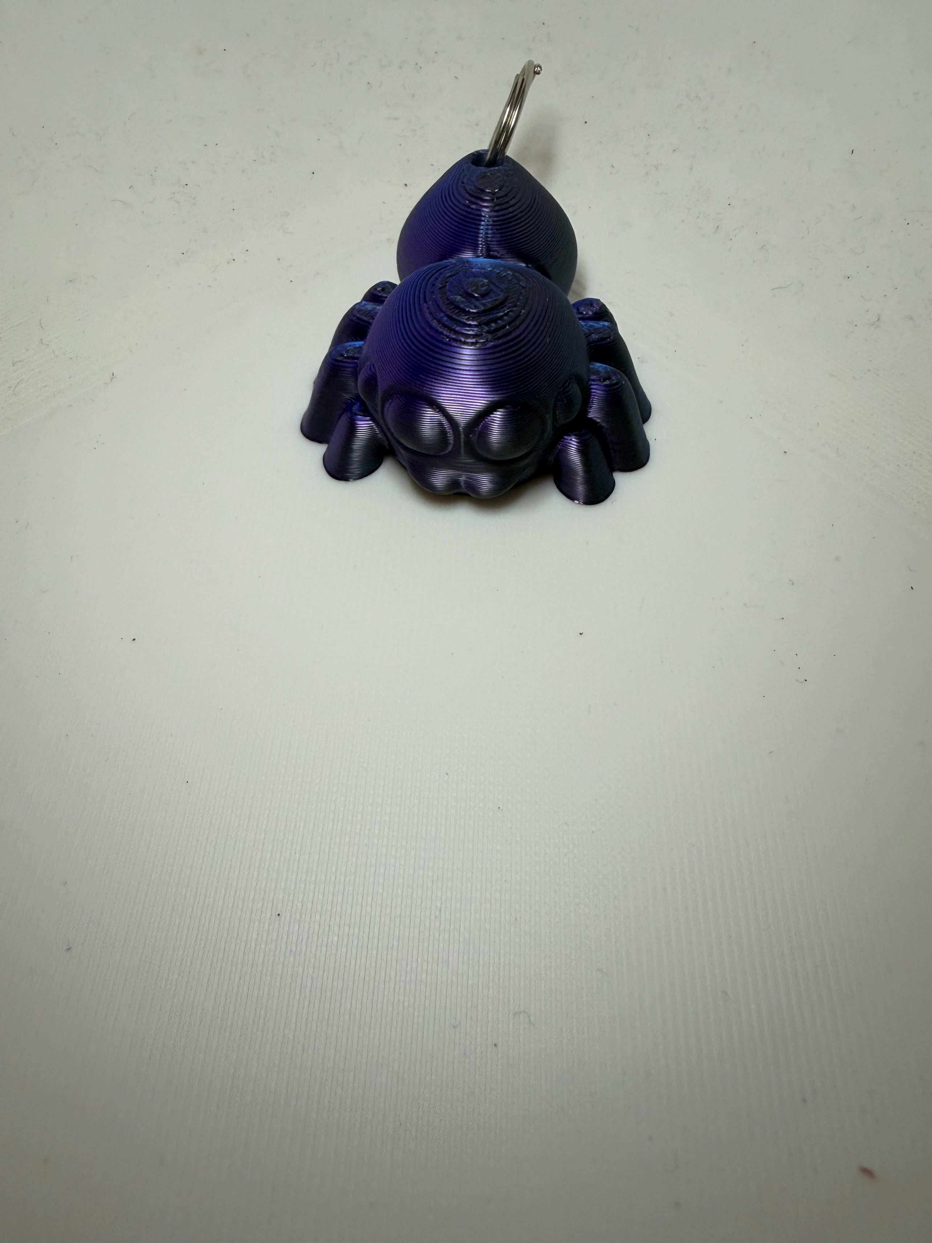Porte clef Phidippus
