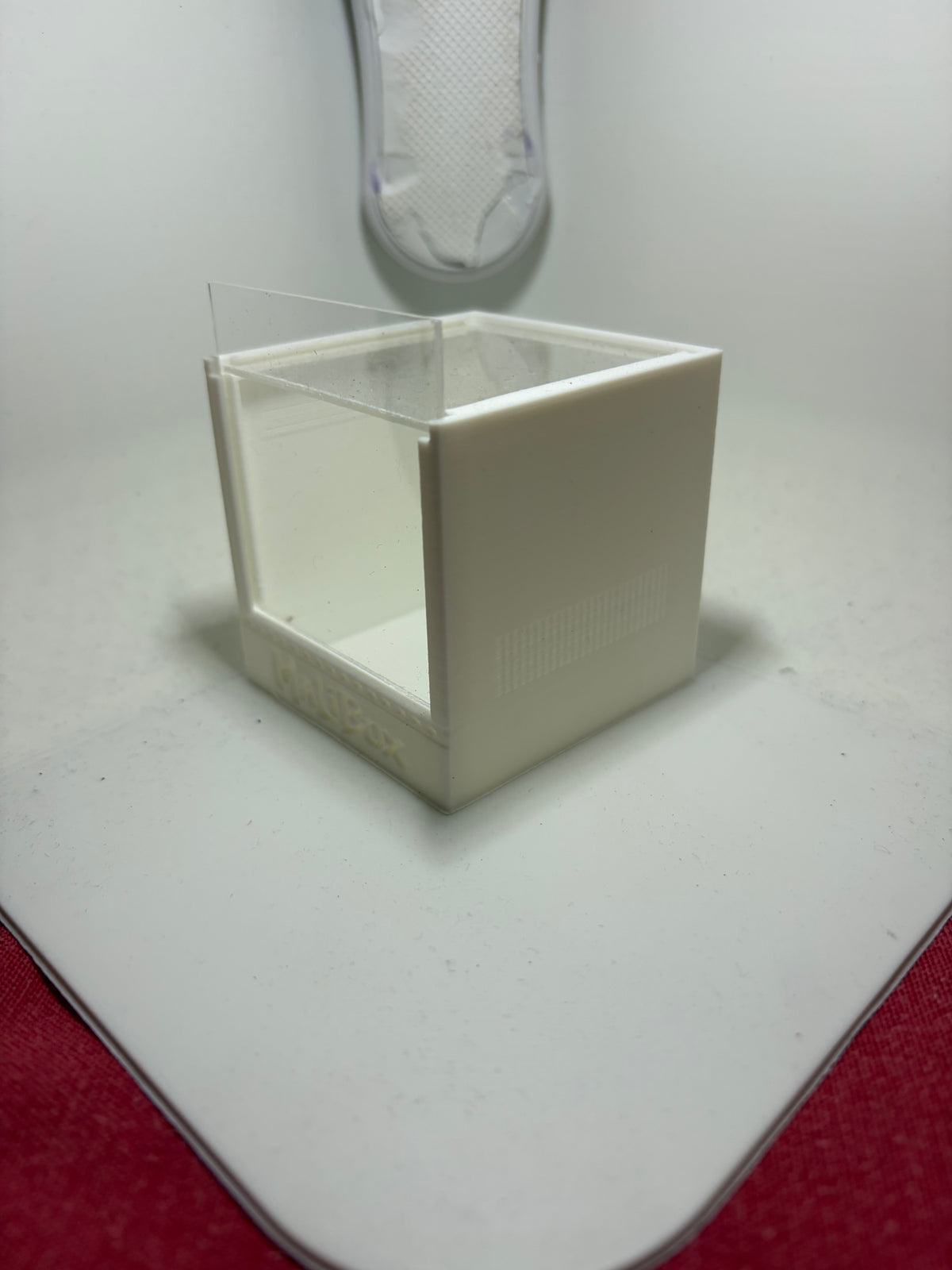 Terrarium Alpha