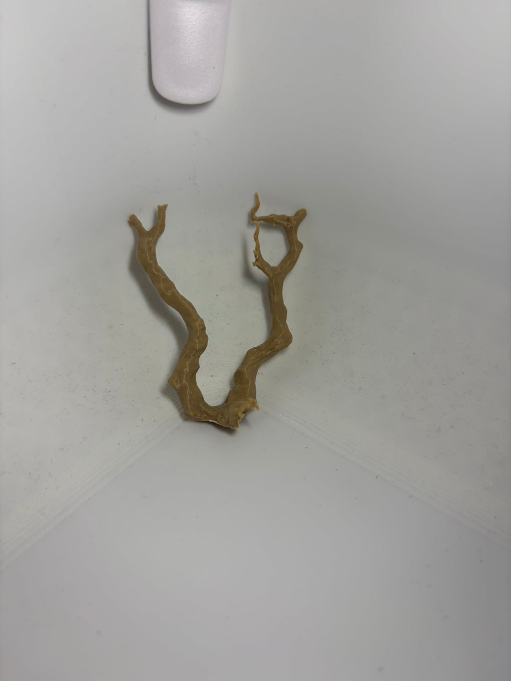 Mini branche alpha